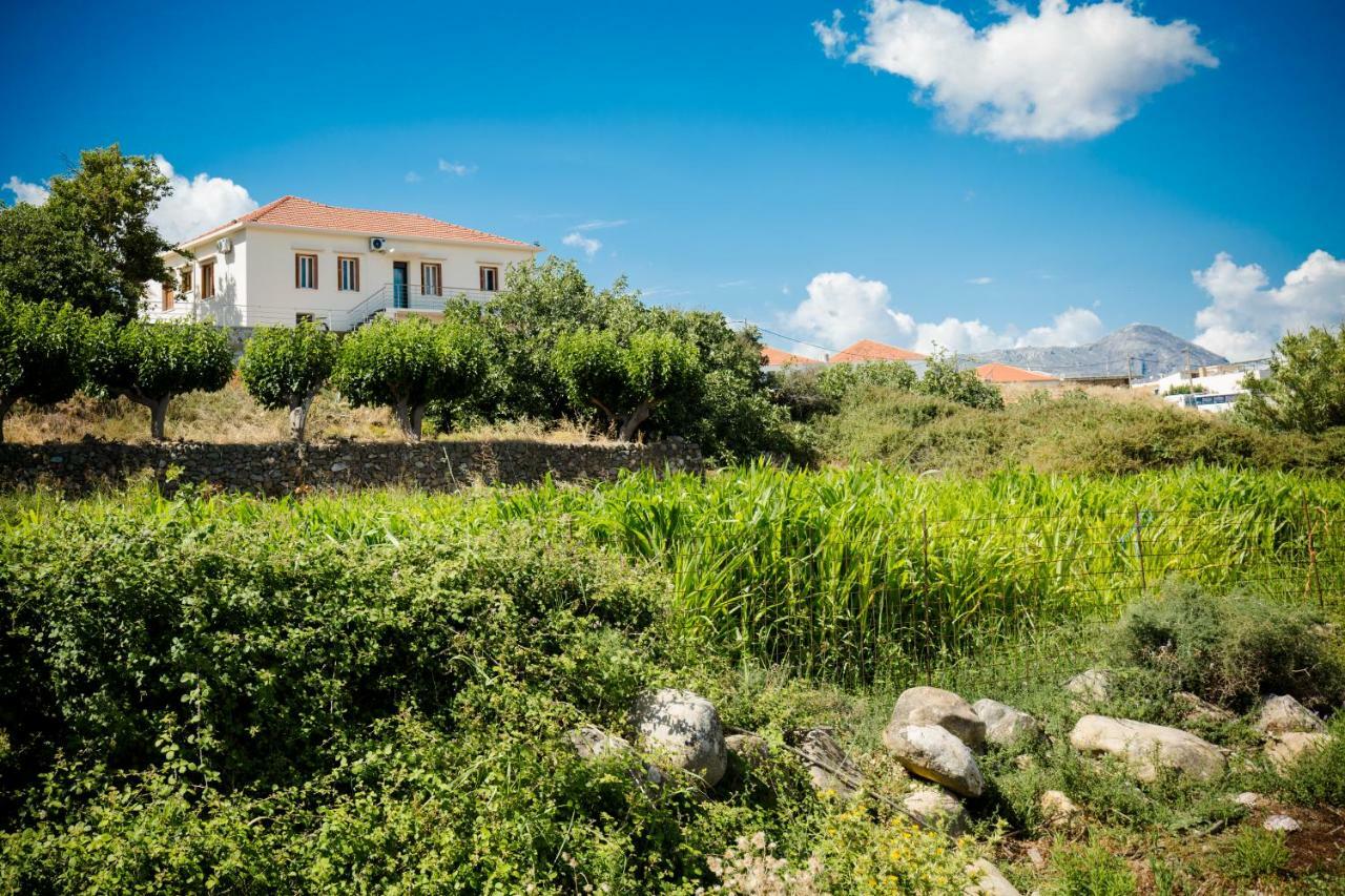 Villa Alexandra Kissamos Exterior photo